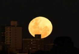 Superlua dos Cervos: com menor distância em relação à Terra, maior Lua do ano acontece nesta quarta-feira