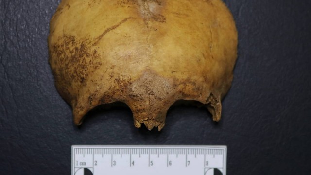 whatsapp image 2022 08 10 at 21.26.40.jpeg - Professor encontra ossos humanos de 1,6 mil anos em Pocinhos, na Paraíba: "É uma evidência raríssima"