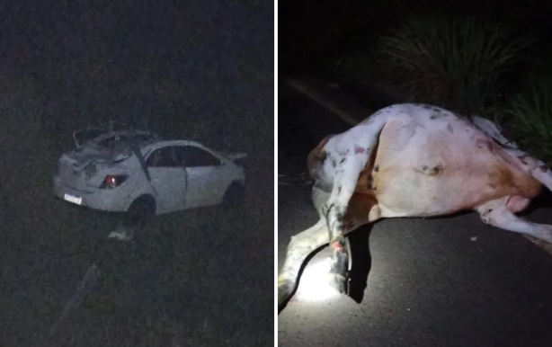 vaca acidente - Locutor de rodeio e amigo morrem após carro bater em vaca e cair em ribanceira