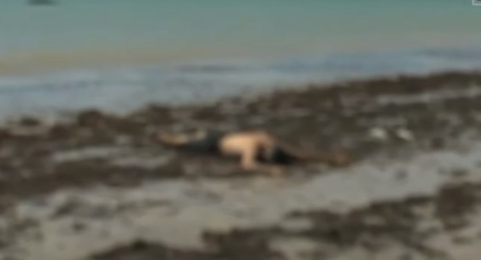 Pescador e assassinado a tiros a beira mar na praia do Bessa em Joao Pessoa - Polícia prende suspeito de matar pescador na Praia do Bessa no último mês de junho