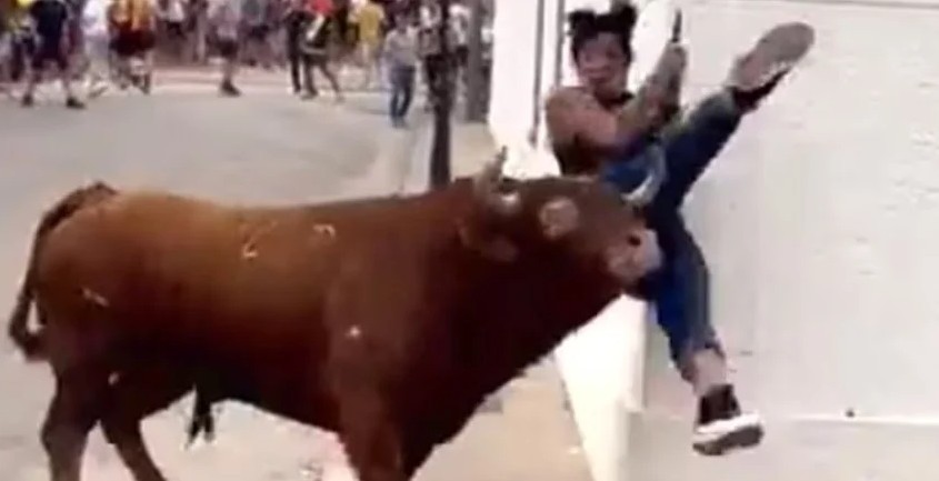 touro - Distraída, mulher acaba sendo atingida por touro durante corrida na Espanha - VEJA VÍDEO