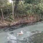 Capturar 62 150x150 - Mulher se apavora após perceber que nadava em um rio com uma sucuri; veja vídeo