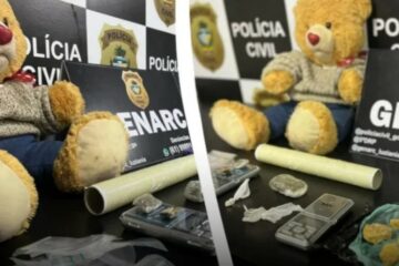 Urso de pelúcia recheado com drogas é apreendido pela polícia – VEJA VÍDEO