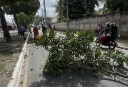 ACIDENTE: Homem fica em estado grave após cair de mangueira em Jaguaribe