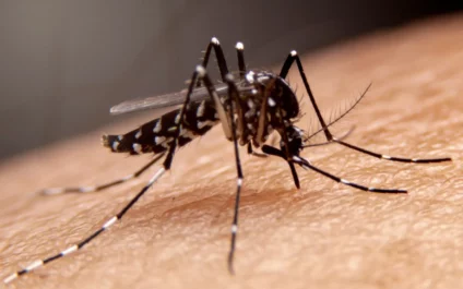 Brasil tem 391 mortes por dengue confirmadas, e quase mil em investigação