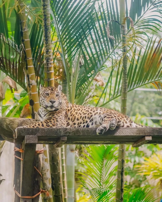 Cícero Lucena assina termo de adesão da Prefeitura ao programa ‘Amigos da Natureza’, em parceria com MPPB e CMJP