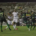 Foto: João Neto/Botafogo-PB

