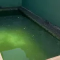 LUTO: Bebê de 1 ano morre afogado em piscina na cidade de Patos