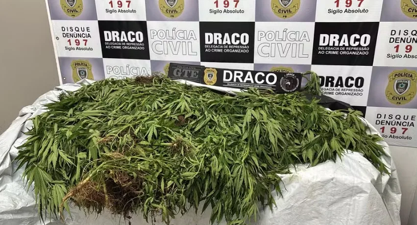 Foto: Lídice Pegado