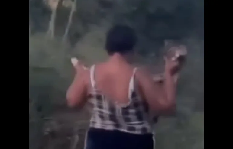 Mulher captura jiboia com as mãos e viraliza; veja vídeo