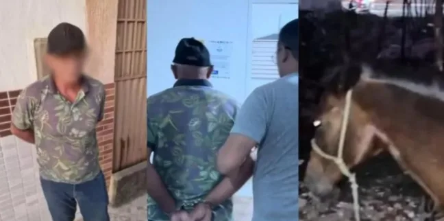 Idoso é preso suspeito de ter relações sexuais com égua, em Patos