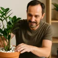 O jeito certo de usar pedras decorativas sem sufocar a planta