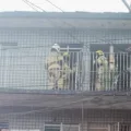 Bombeiros resgatam idosa após incêndio causado por panela de pressão em Campina Grande