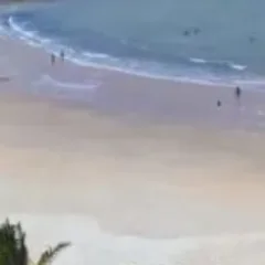 PARAHYBA E SEUS ENCANTOS. Praia das Trincheiras (Prainha) tem beleza e tem história-  Por Sérgio Botelho