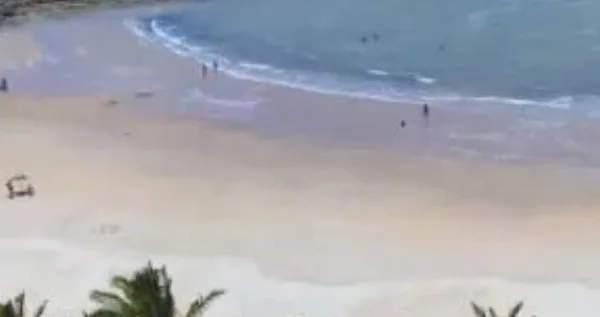 PARAHYBA E SEUS ENCANTOS. Praia das Trincheiras (Prainha) tem beleza e tem história- Por Sérgio Botelho PARAHYBA E SEUS ENCANTOS. Praia das Trincheiras (Prainha) tem beleza e tem história- Por Sérgio Botelho