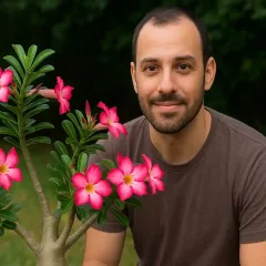 Solo e adubos certos para a rosa-do-deserto florescer bem