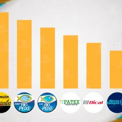 Setor comercial e industrial da cidade reafirma força econômica com cinco empresas no ranking estadual