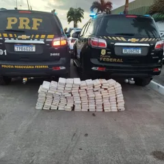Droga escondida em fundo falso: PRF e PF interceptam carga de 162 kg de cocaína na Grande João Pessoa
