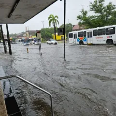 Foto: Reprodução/Semob
