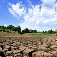 Sousa e mais três cidades entram em situação de emergência por estiagem