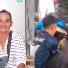Agricultor de 63 anos é encontrado morto dentro de uma píton de oito metros; veja vídeo