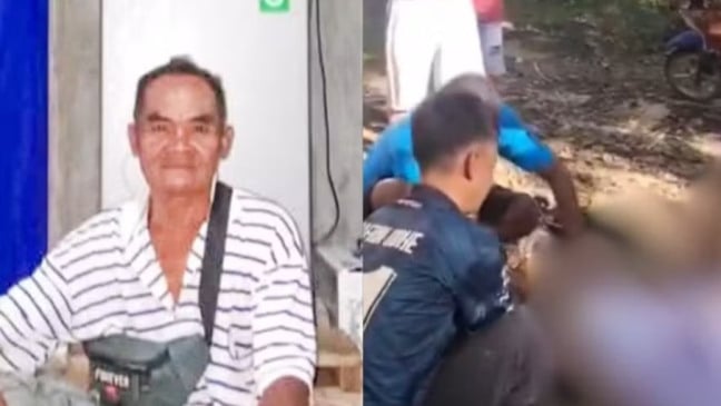 Agricultor de 63 anos é encontrado morto dentro de uma píton de oito metros; veja vídeo