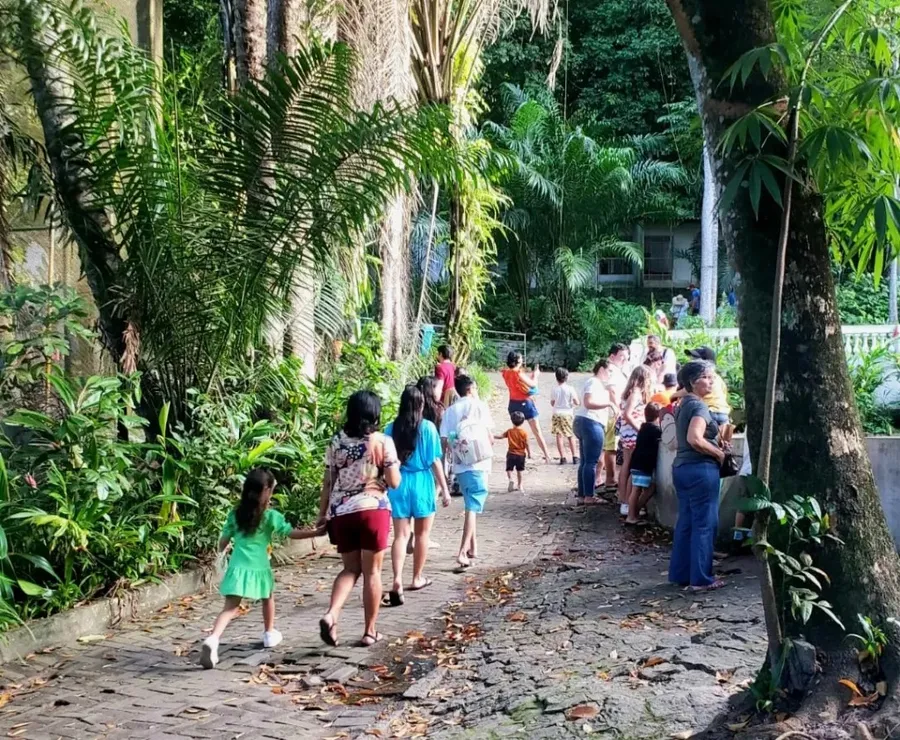 Foto: Divulgação