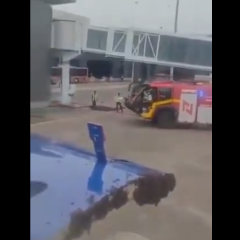 Decolagem é atrasada após milhares de abelhas pousarem em porta de avião; veja vídeo