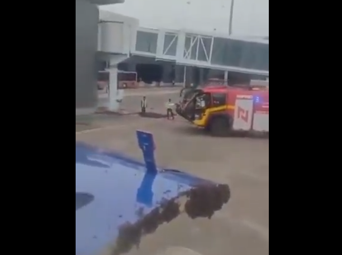 Decolagem é atrasada após milhares de abelhas pousarem em porta de avião; veja vídeo
