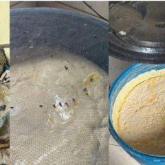 FISCALIZAÇÃO: Fábrica de queijo clandestina é interditada no município de Caiçara
