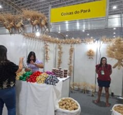 Aromas e produtos sensoriais fazem sucesso na Multifeira Brasil Mostra Brasil
