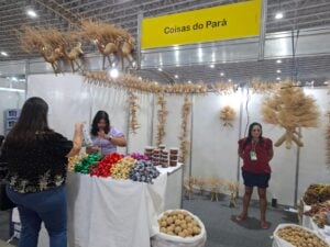 Aromas e produtos sensoriais fazem sucesso na Multifeira Brasil Mostra Brasil