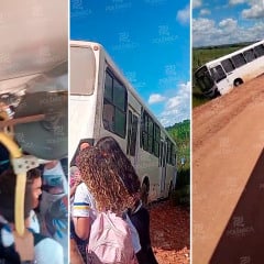 Ônibus escolar cai em canavial e deixa alunos em pânico; veja vídeo