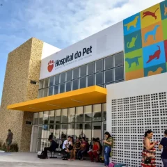 João Pessoa celebra 1º ano do Hospital do Pet com mais de 72 mil procedimentos realizados