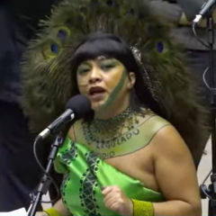 Confusão na Câmara: Kim ironiza cocar, e Célia reage — “me respeita, deputado reborn”