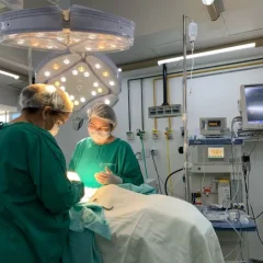 Foto: Reprodução/Secom Paraíba