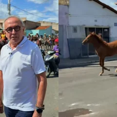 Foto: Reprodução/Instagram