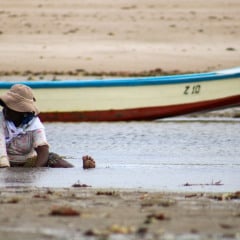 Funesc abre exposição fotográfica sobre territórios de resistência na Paraíba