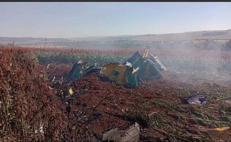 Aeronave da FAB cai durante treinamento no interior de São Paulo; piloto se ejetou e passa bem