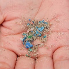 Cientistas encontram microplásticos em sêmen e fluido do ovário humano