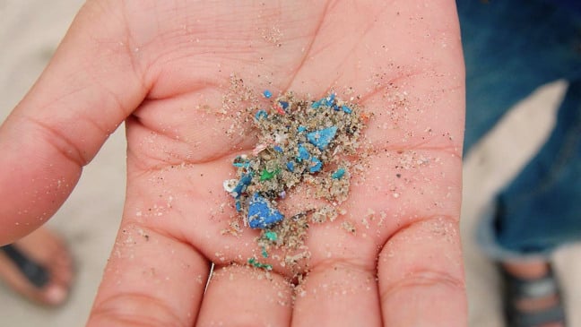 Cientistas encontram microplásticos em sêmen e fluido do ovário humano