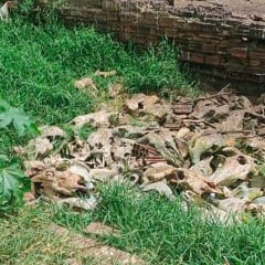 Sudema embarga dois matadouros na Paraíba por despejar restos de animais no meio ambiente