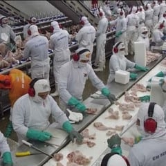 Paraíba terá 4º maior crescimento do setor industrial do País, revela projeção do Banco do Brasil