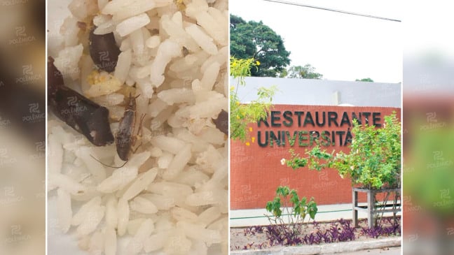 Estudante encontra barata em refeição do Restaurante Universitário da UFPB