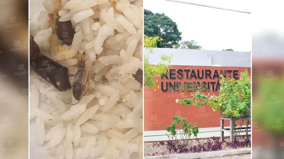 Estudante encontra barata em refeição do Restaurante Universitário da UFPB