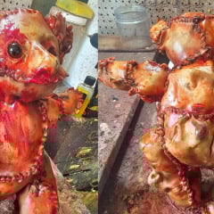 Ursinho com pele humana? boneco provoca pânico e vira caso de polícia 