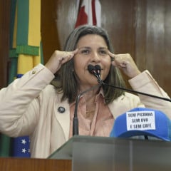 Reprodução: Internet 