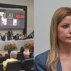 Assembleia aprova projeto de Danielle do Vale que fortalece energia limpa para pequenos produtores