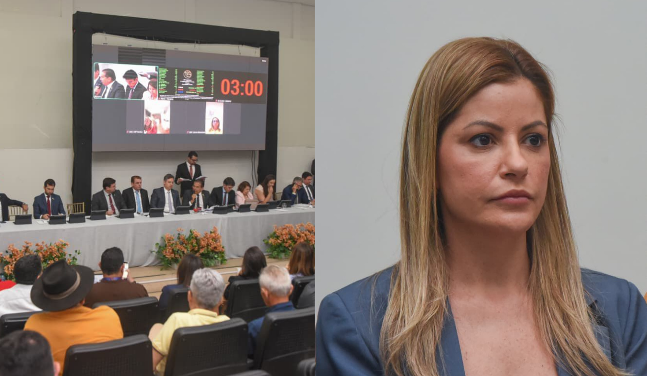 Assembleia aprova projeto de Danielle do Vale que fortalece energia limpa para pequenos produtores