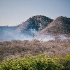 Força-tarefa intensifica trabalho e controla incêndio na Serra do Cruzeiro